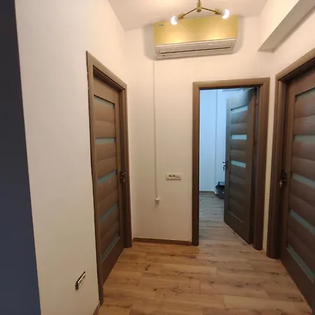 Apartment Voievozilor Grand *